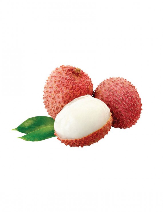 Aliquam Quat Voluptatem