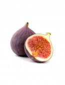 Magni Dolores Eosquies