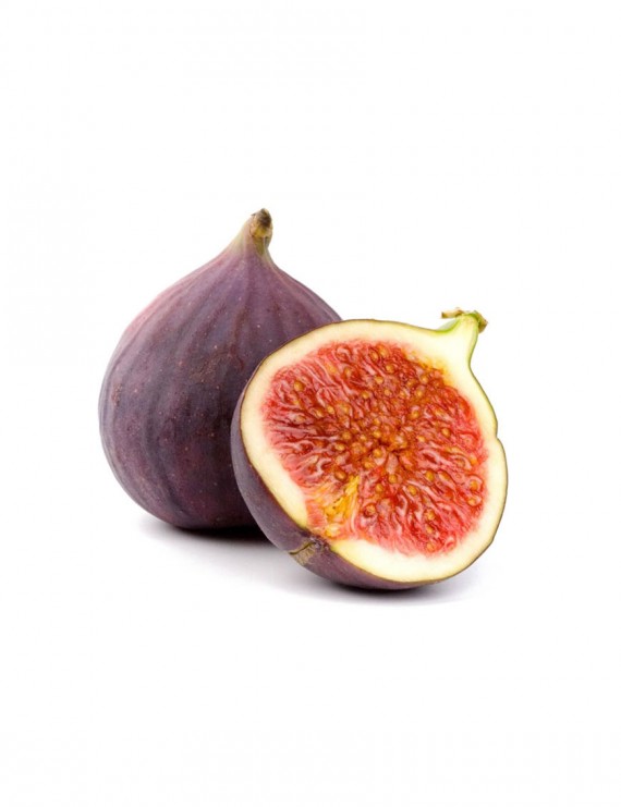 Magni Dolores Eosquies