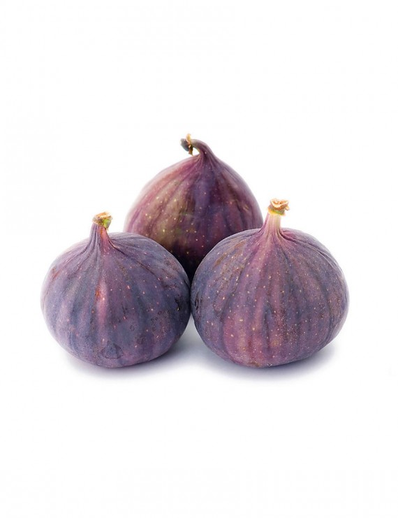 Aliquam Quat Voluptatem