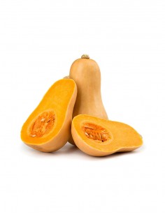 Neque Porro Quisquam