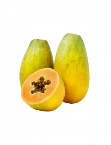 Nostrum Exercitationem