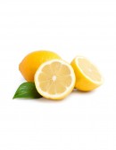 Quaerat Outt Voluptatem