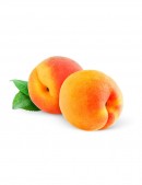 Reprehenderit Qui In East