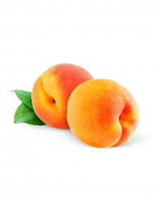 Reprehenderit Qui In East