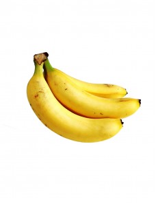 Similique Suntin Culpaqui