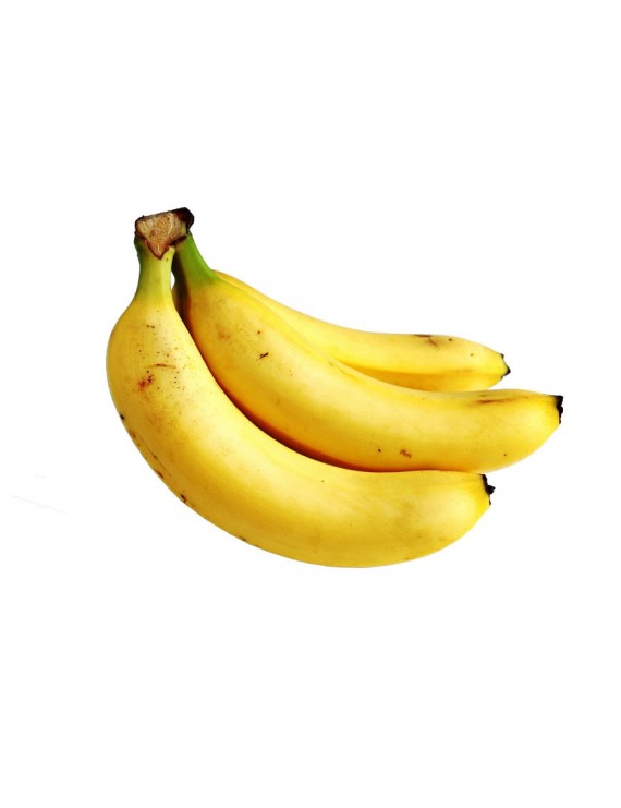 Similique Suntin Culpaqui