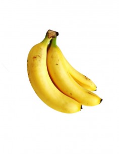 Similique Suntin Culpaqui