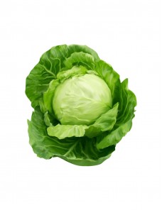 Tempora Incidunt Utlabore