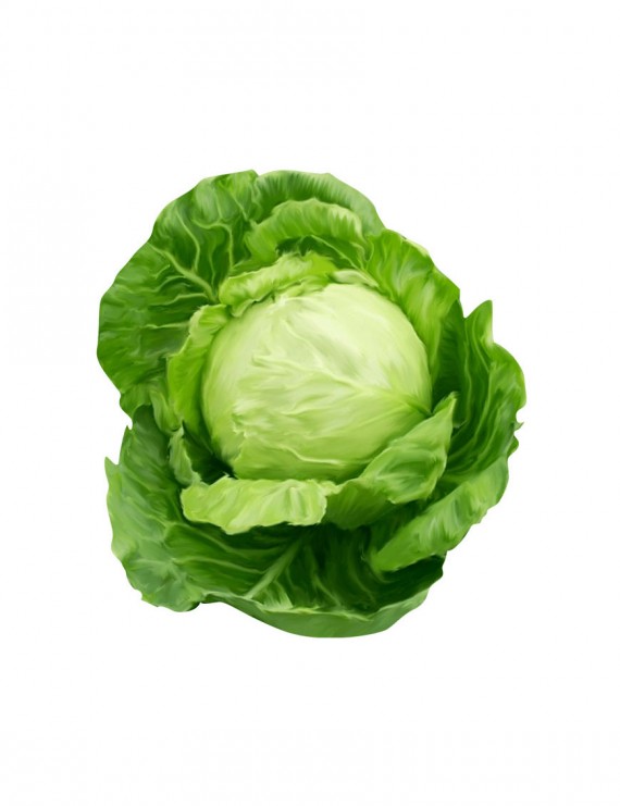 Tempora Incidunt Utlabore