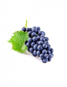 Suscipit Laboriosam Nisi