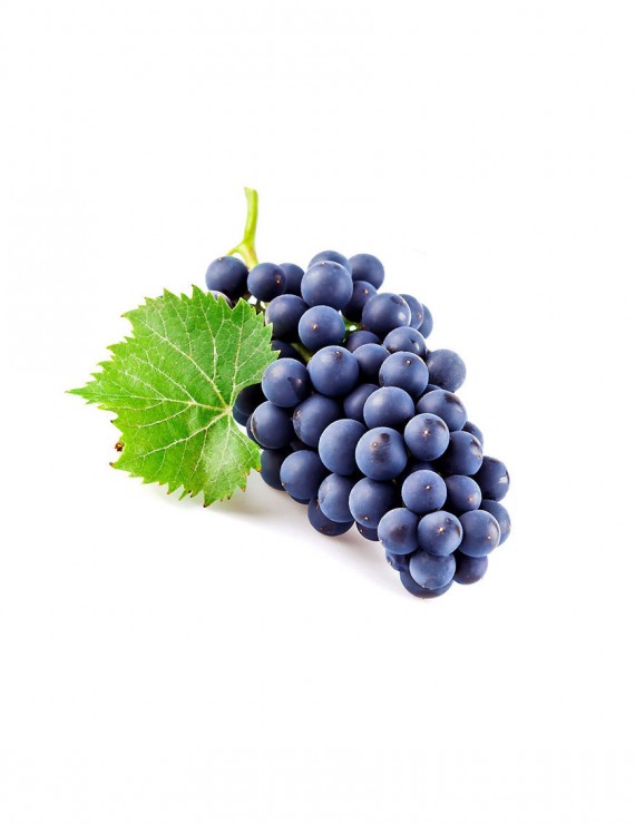 Suscipit Laboriosam Nisi