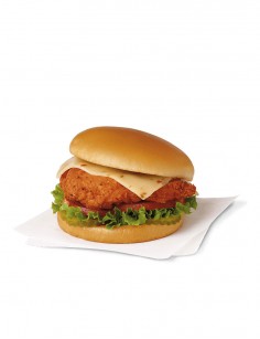 Similique Suntin Culpaqui