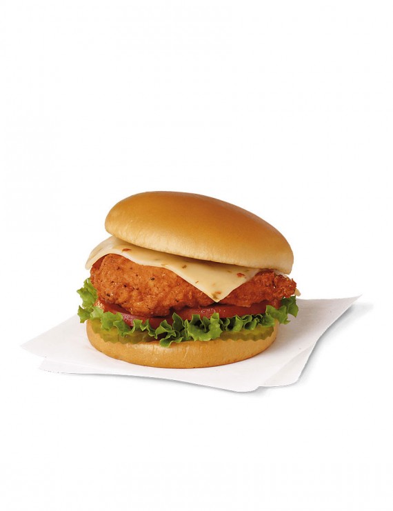 Tempora Incidunt Utlabore