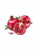 Aspetur Autodit Autfugit