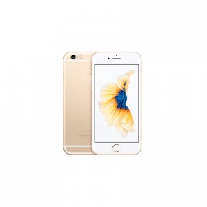 sint incidunt utlabore