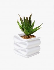 Special products