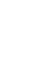 mobile-view
