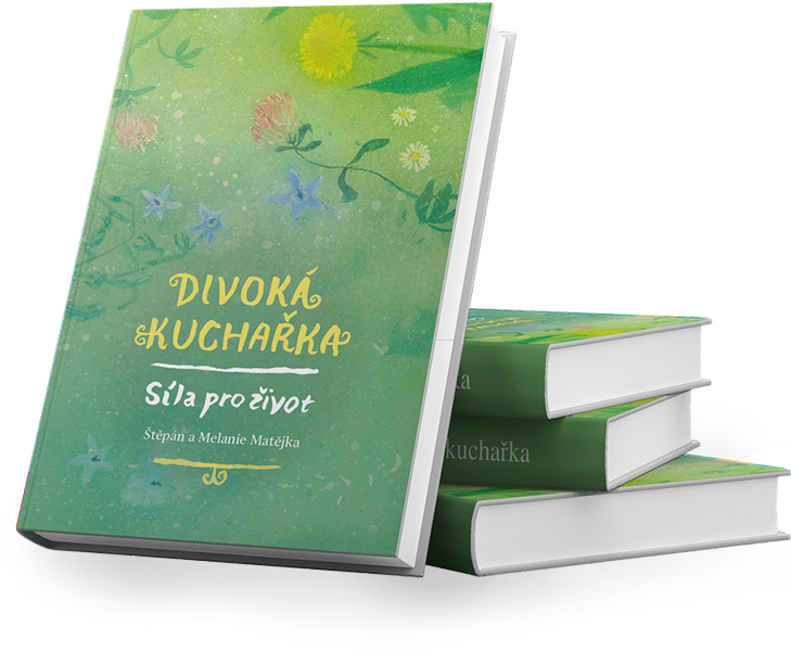 offer-img-02