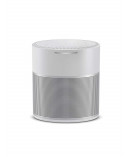Bose Home Speaker 300, with Amazon Alexa Built-in, Silver