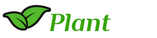 fotter-logo