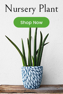 menu-banner