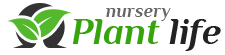 Your Store