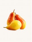 Apricot Fruit Dealers