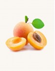 Fresh Grapefruit