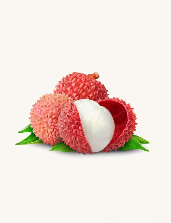 Brain Disease Lychee Toxins