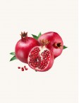 Ripe Pomegranate Fruit