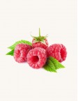 Cascadian Wild Raspberry