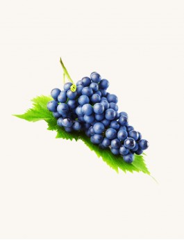 Florona Exotic Grape