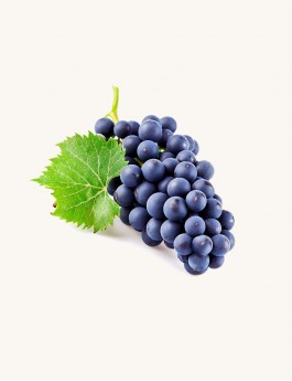 Florona Exotic Grape