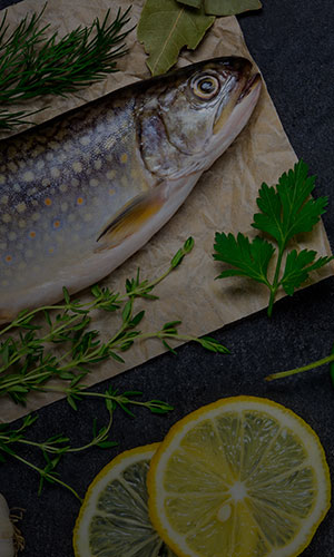 Fish Fry