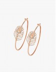 Carla Golden Earrings