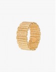Arquitectura Golden Earrings