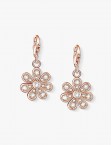 Arquitectura Golden Earrings