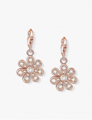 Arquitectura Golden Earrings