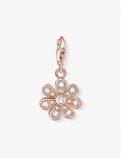 Arquitectura Golden Earrings