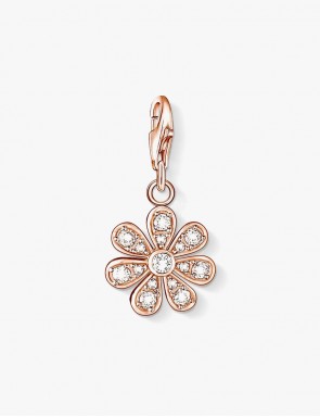 Arquitectura Golden Earrings