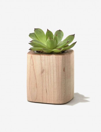 Wooden Desk Dish Mapple