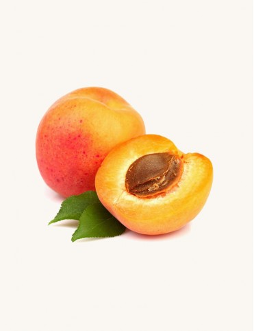 aliquam quaerat voluptem