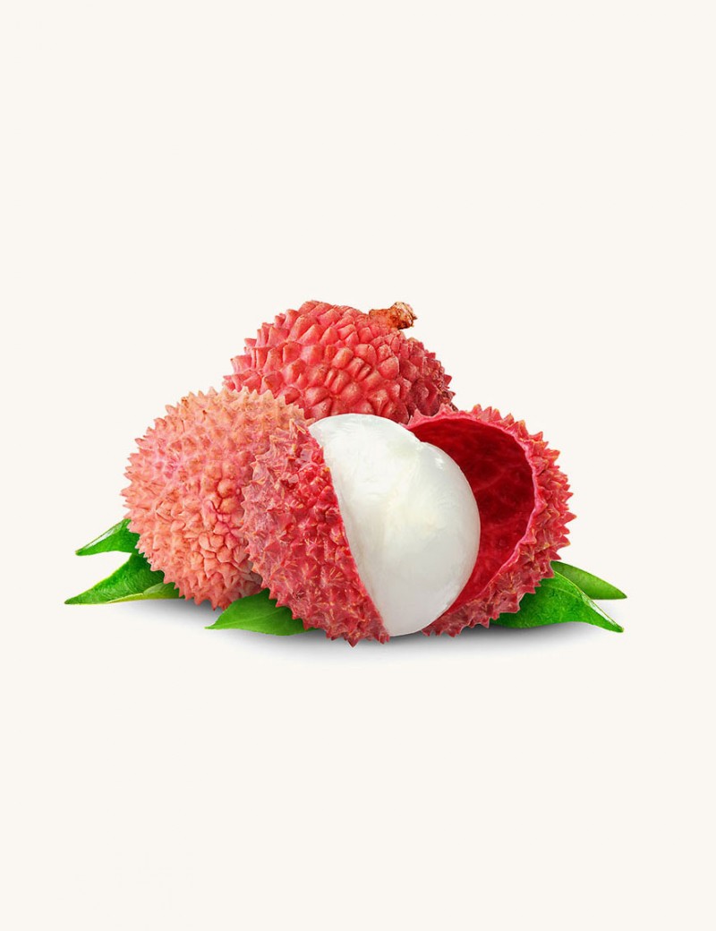 aliquam quaerat voluptatem