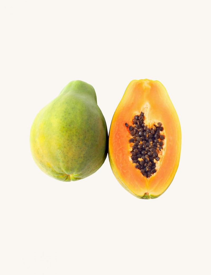 aliquam quaerat voluptem
