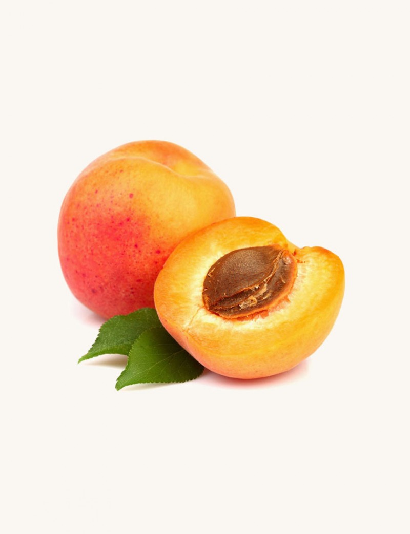 aliquam quaerat voluptem