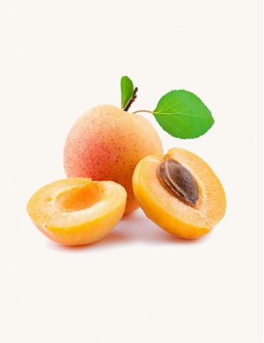 aliquam quaerat voluptem