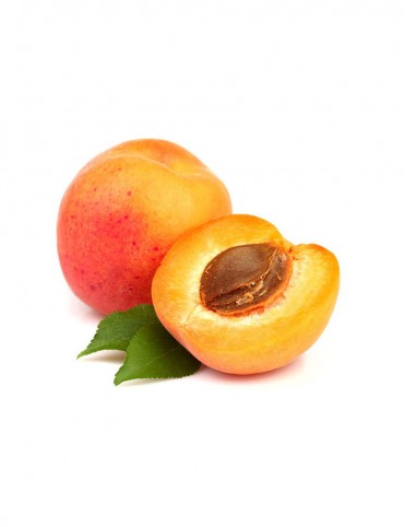 aliquam quaerat voluptem