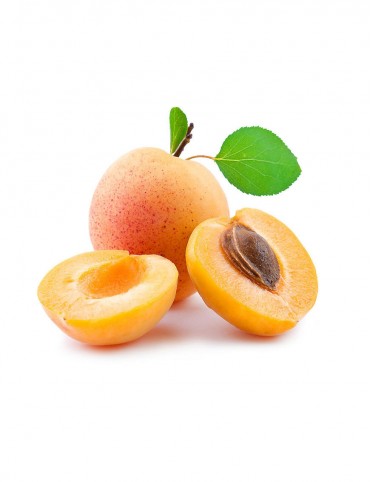 aliquam quaerat voluptem