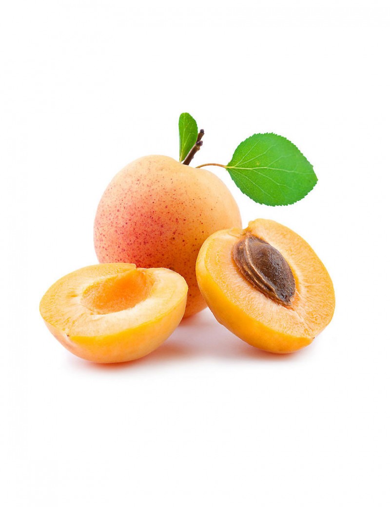 aliquam quaerat voluptem